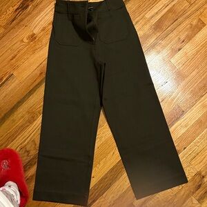 Quince Dark Olive Wide-Leg Pants